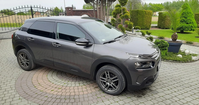 Citroen C4 Cactus cena 48900 przebieg: 79350, rok produkcji 2018 z Bogatynia małe 379